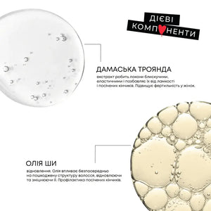 CЕТ 5 LEIA